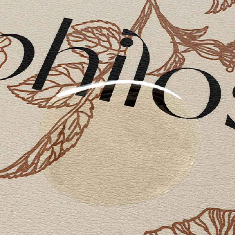 south french philosopher bath mat