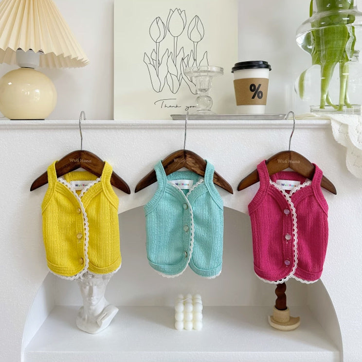 3color knit vest