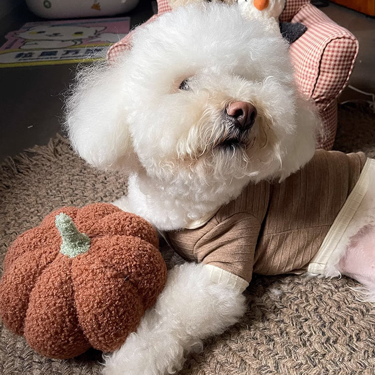 2color natural polo wear