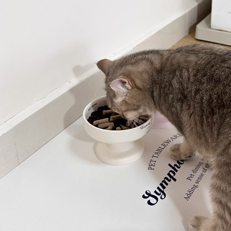 2color pet food retro bowl