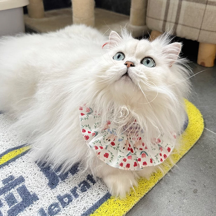 5design semicircle frill bib