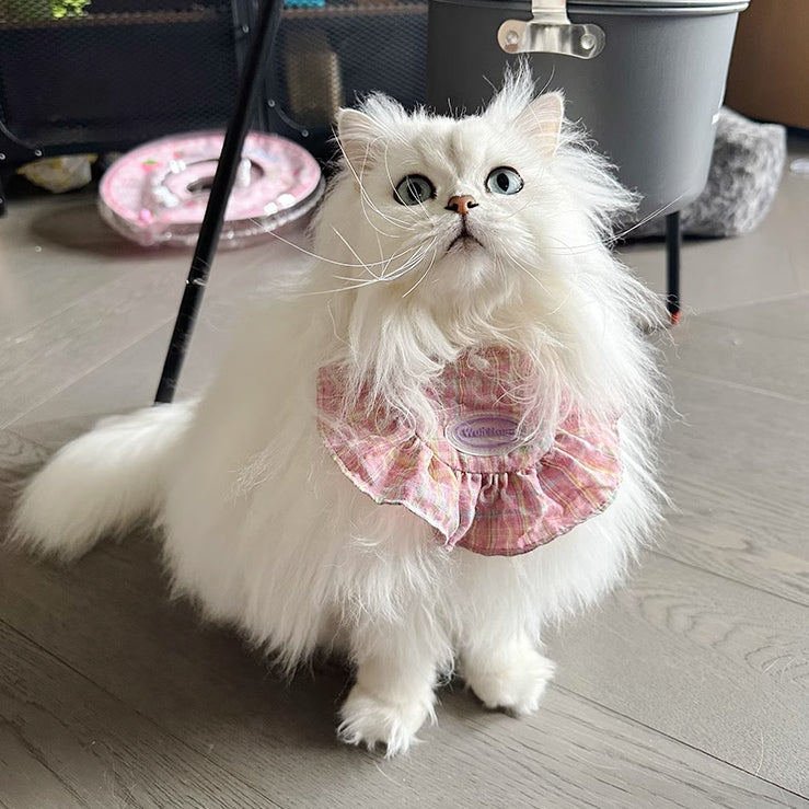 5design semicircle frill bib