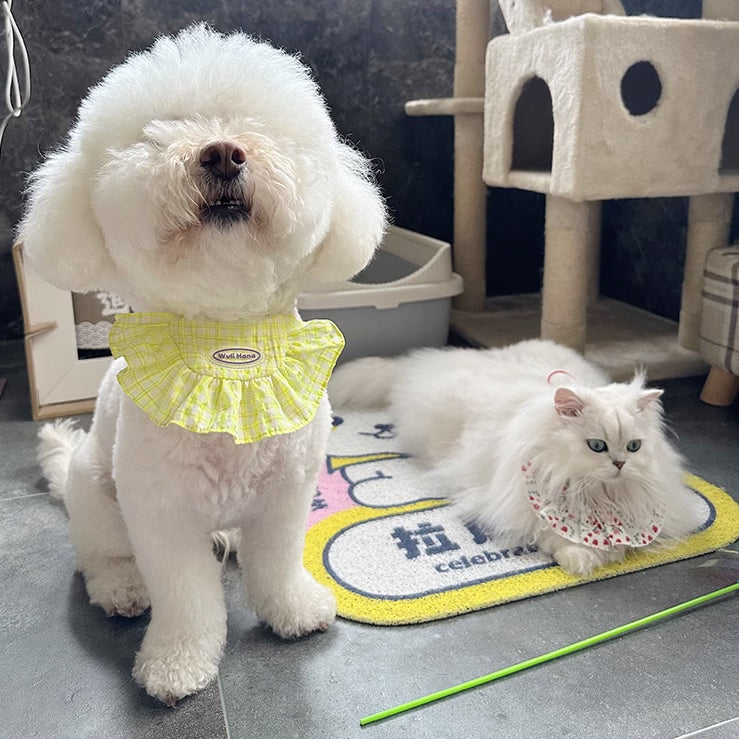 5design semicircle frill bib