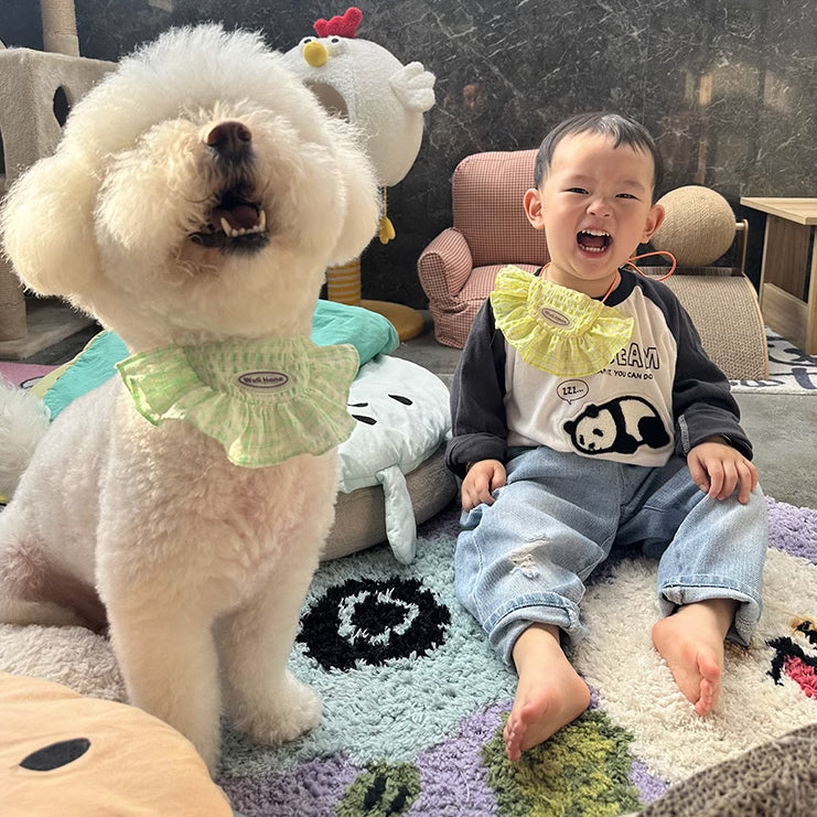 5design semicircle frill bib