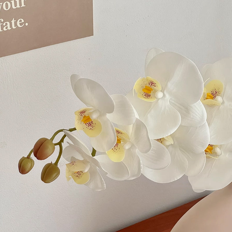 triangle vase & white flower