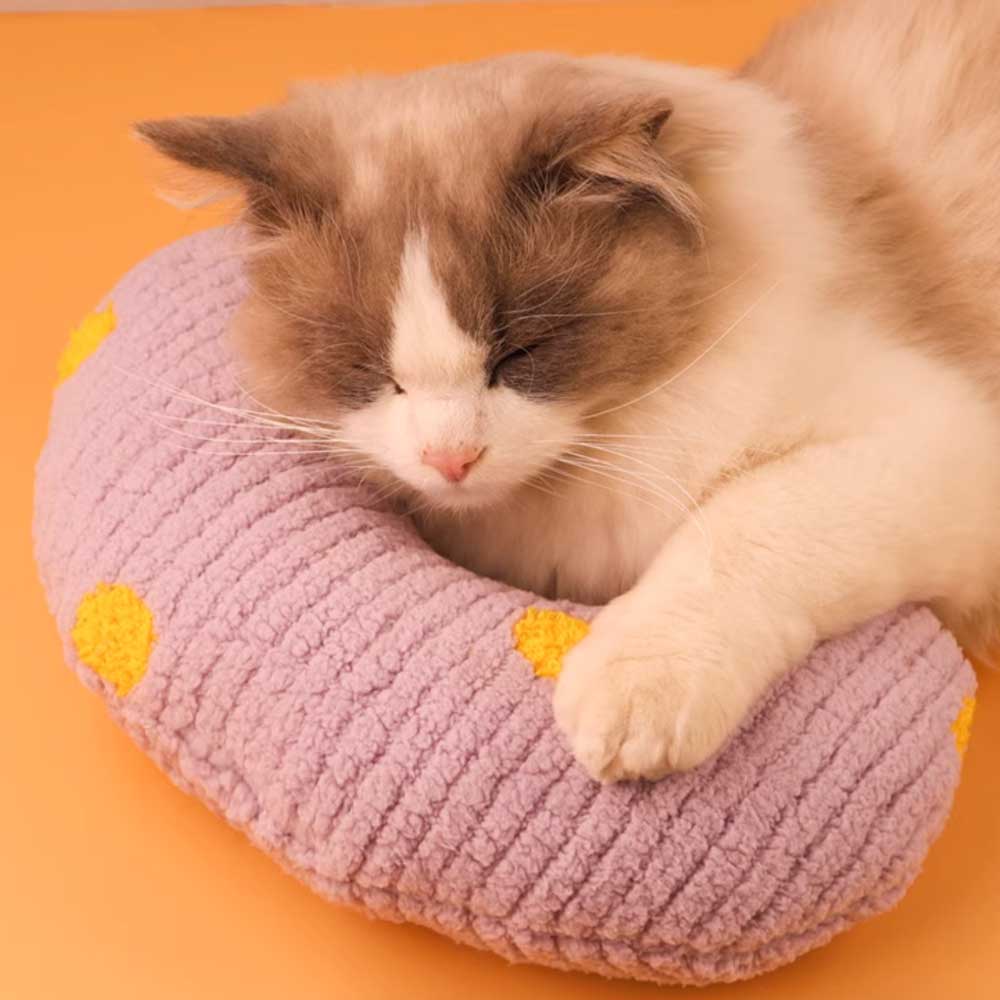 3color dot pet pillow