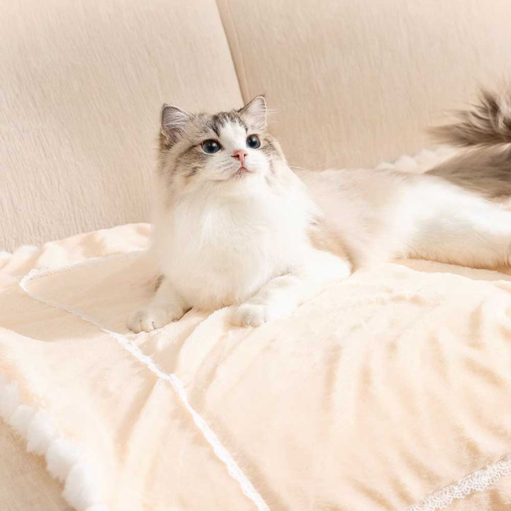 3color fur pet blanket