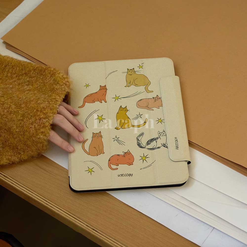 star cat iPad case