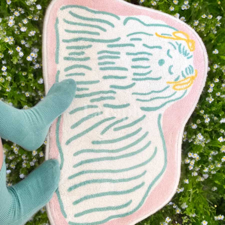 fluffy dog mat (2colors)