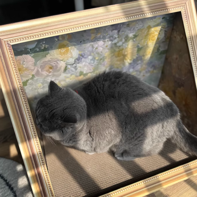 Oil painting design cat scratcher (2design)