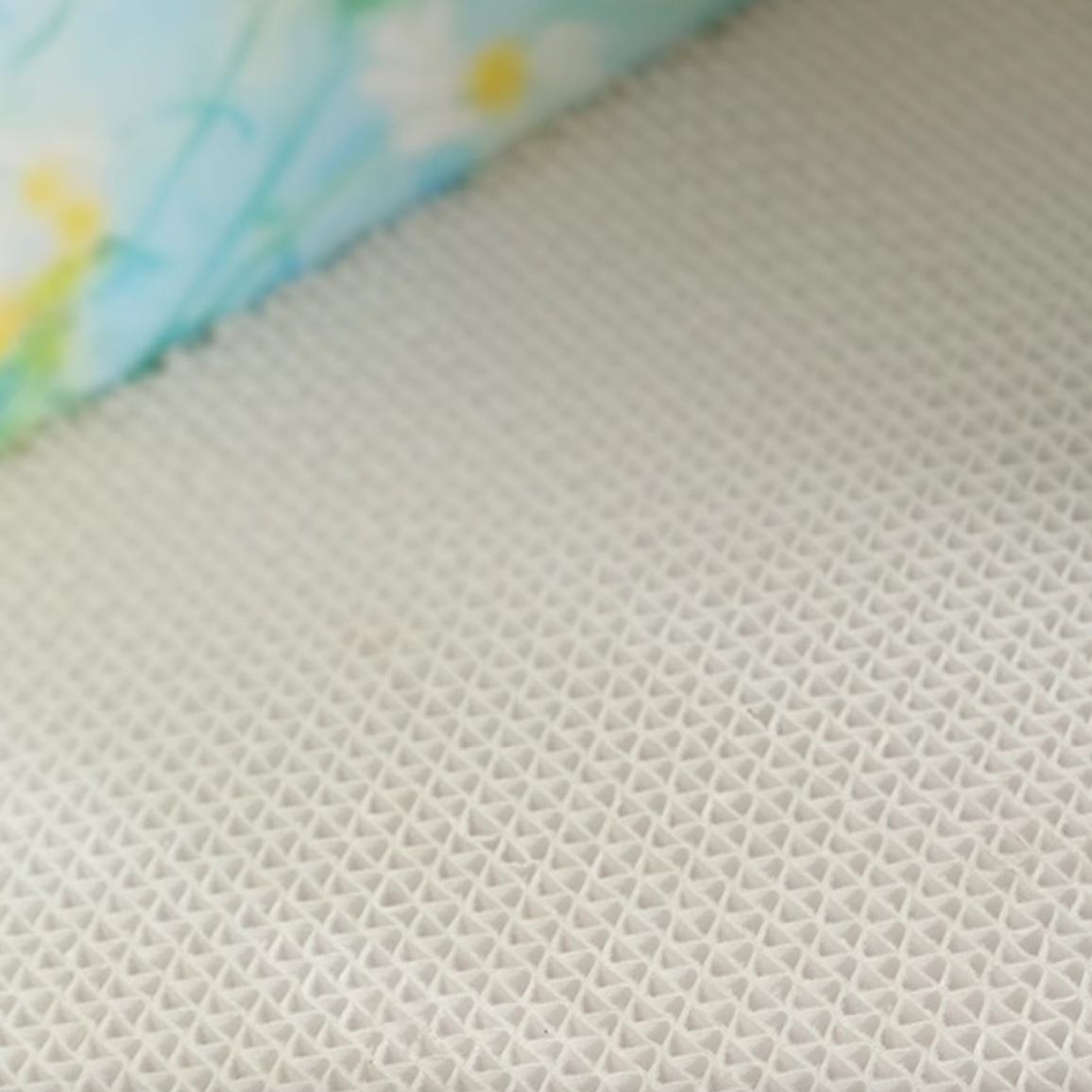 world art design cat scratcher (5design)