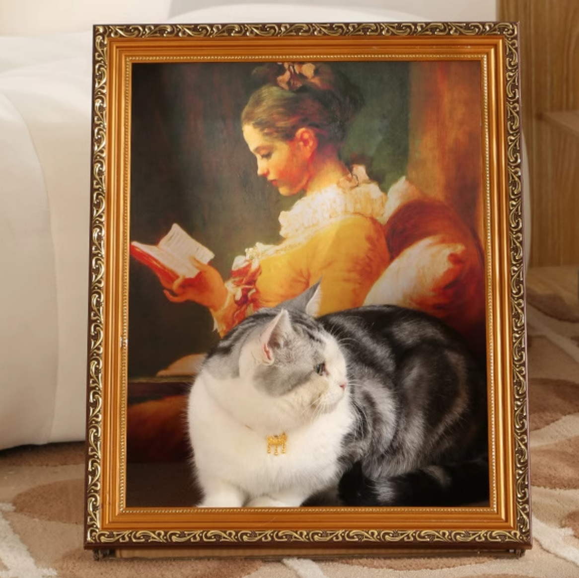 world art design cat scratcher (6design)