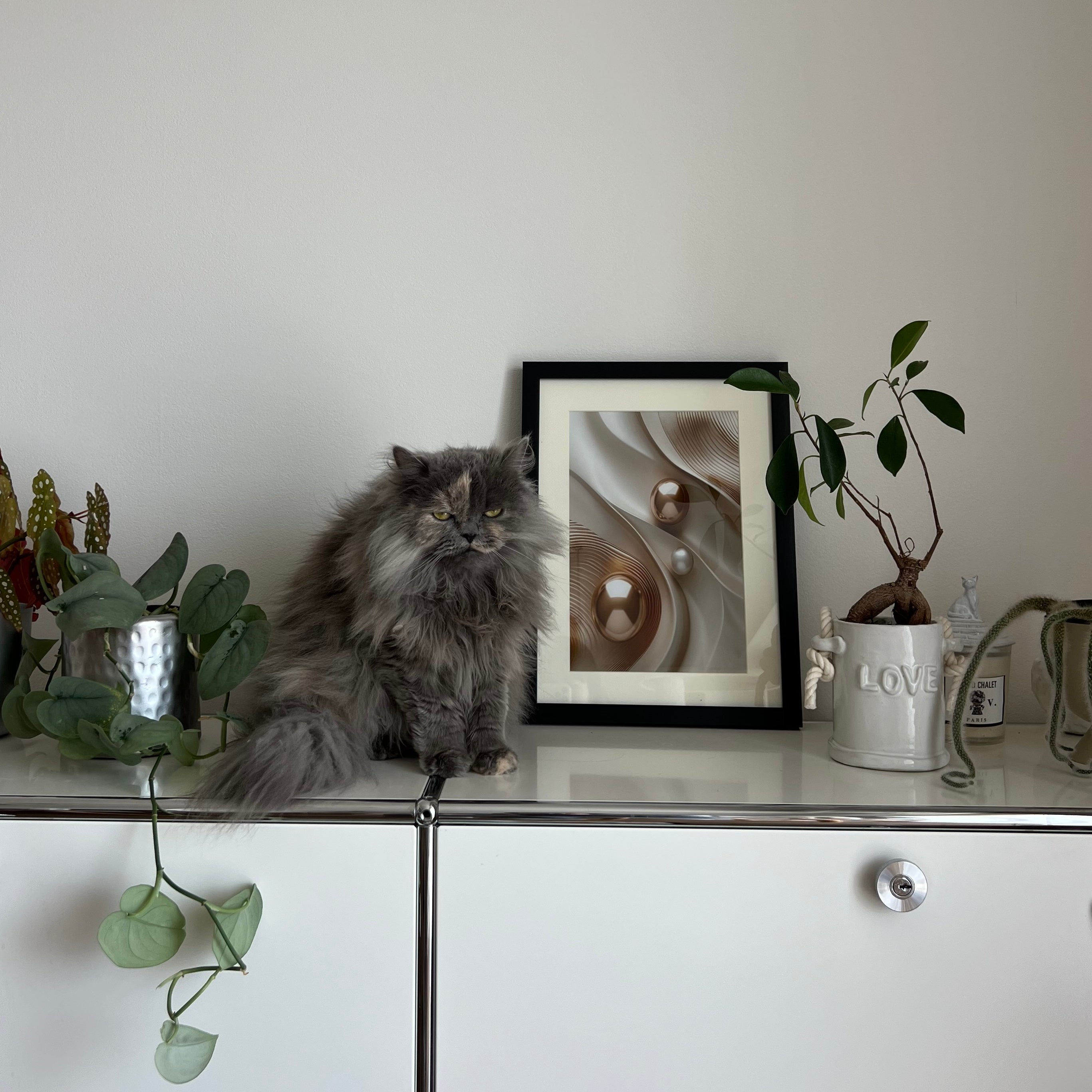 【即納】pearl poster & frame SET (30×40cm)