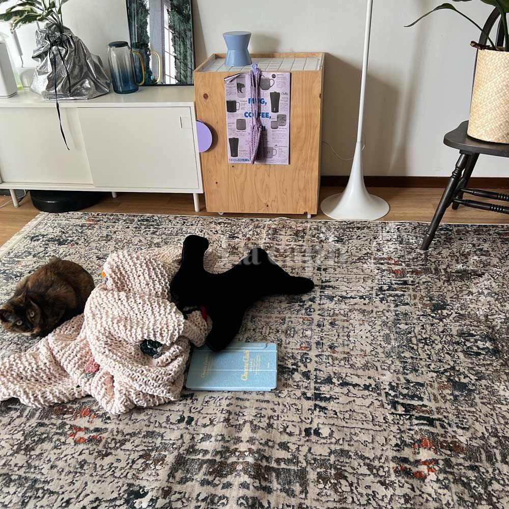 【即納】neutral tone rug carpet