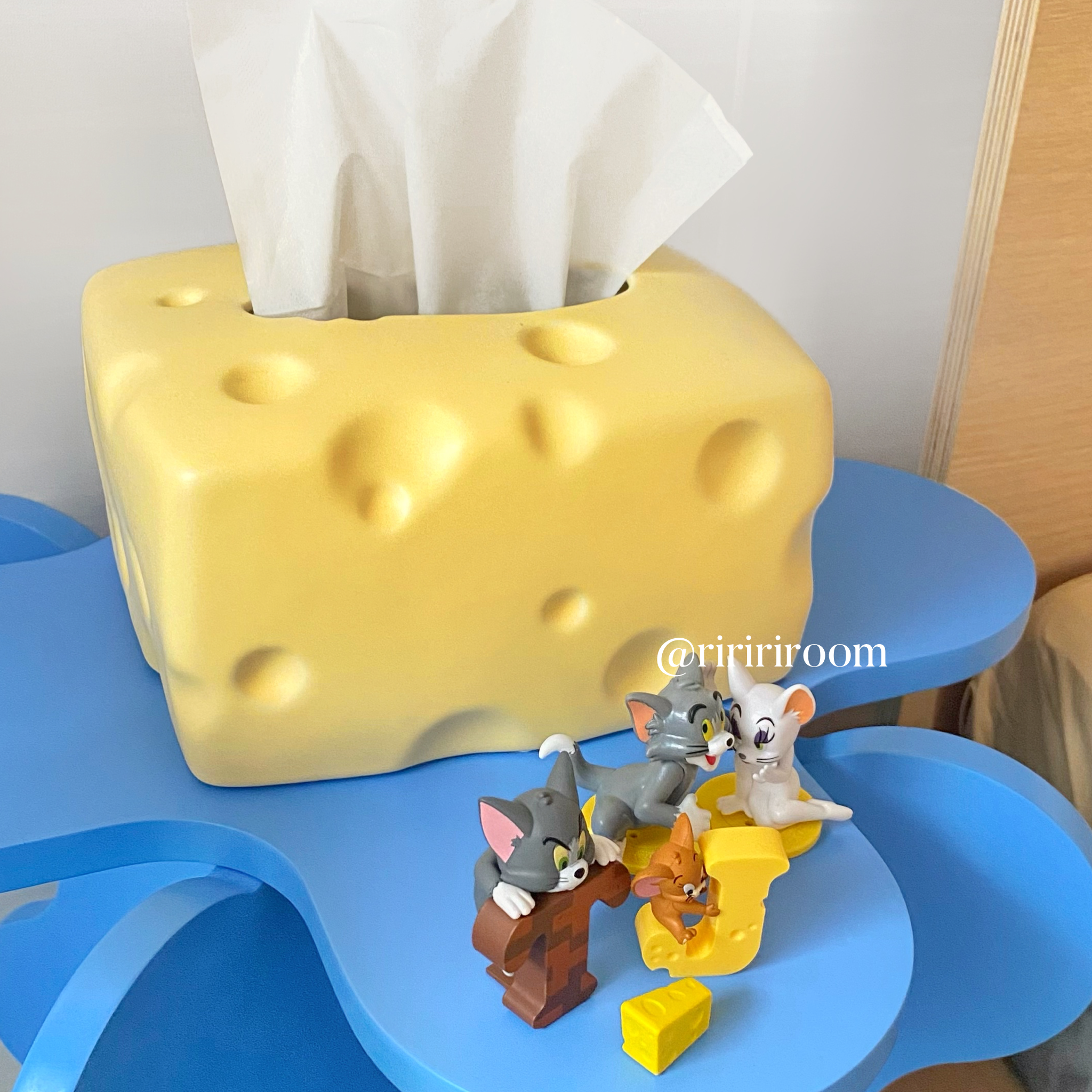 block cheese tissue case