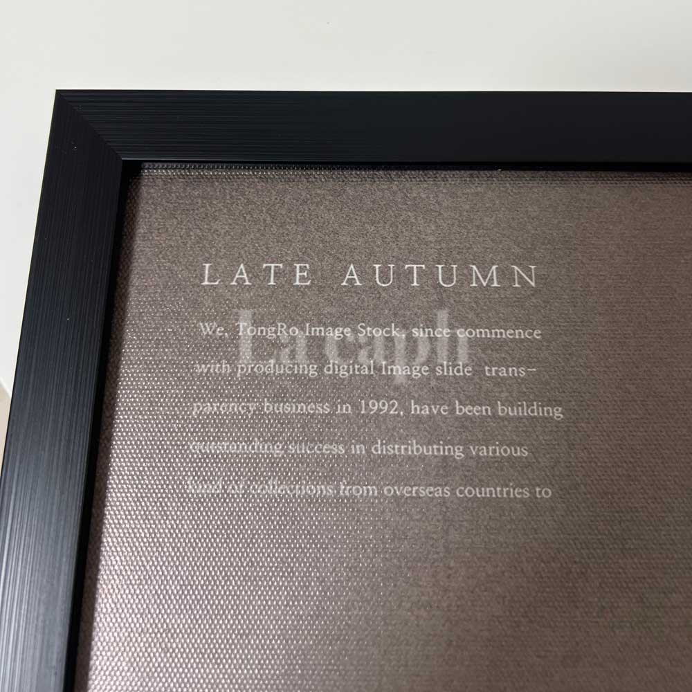 【即納】table poster & frame SET (41×51cm)