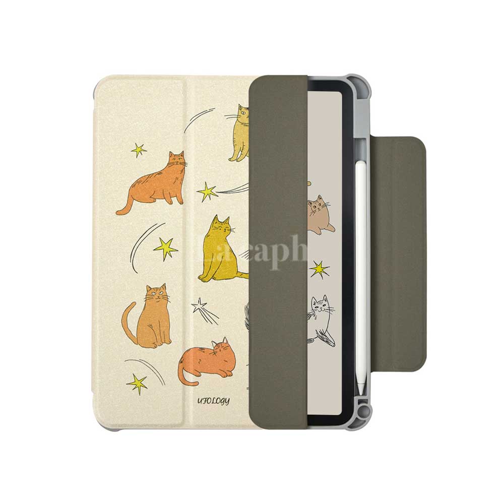 star cat iPad case