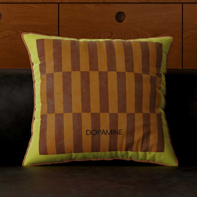 4color retro check cushion