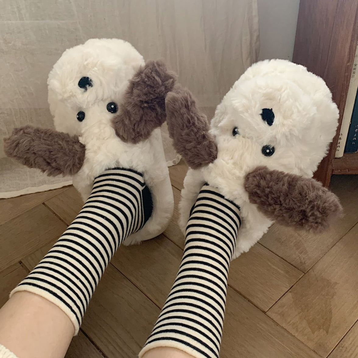 boa dog roomshoes
