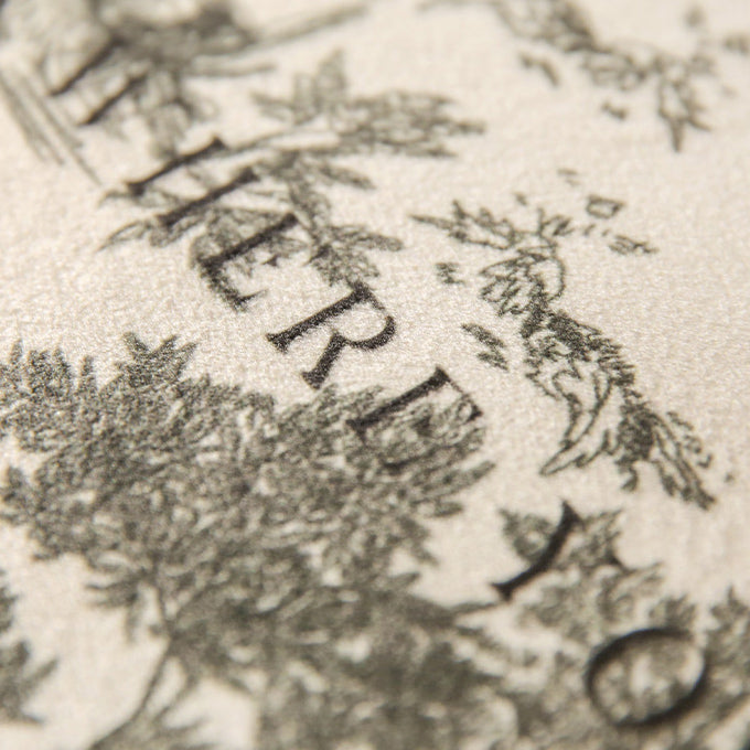 black toile de Jouy tissue case