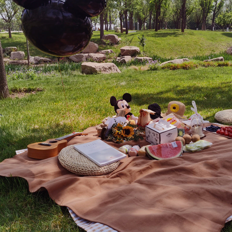 2color waterproof simple picnic sheet