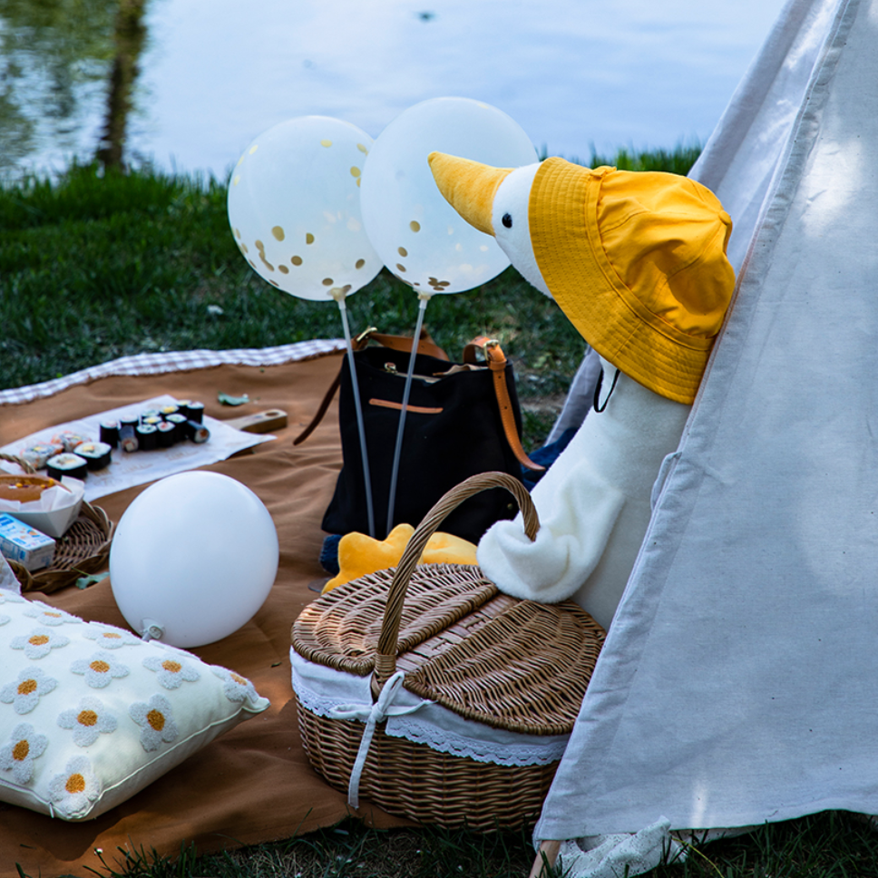 brown picnic sheet