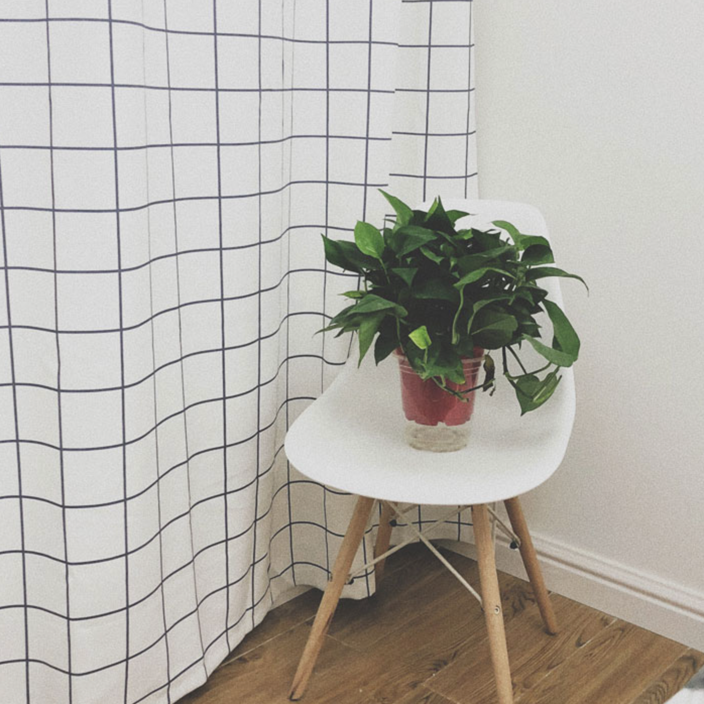 gray check curtain