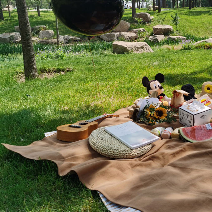 2color waterproof simple picnic sheet
