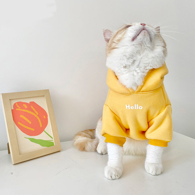 hello 4color fleece cloth