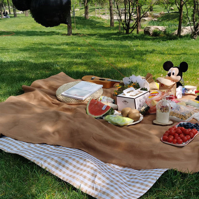 2color waterproof simple picnic sheet
