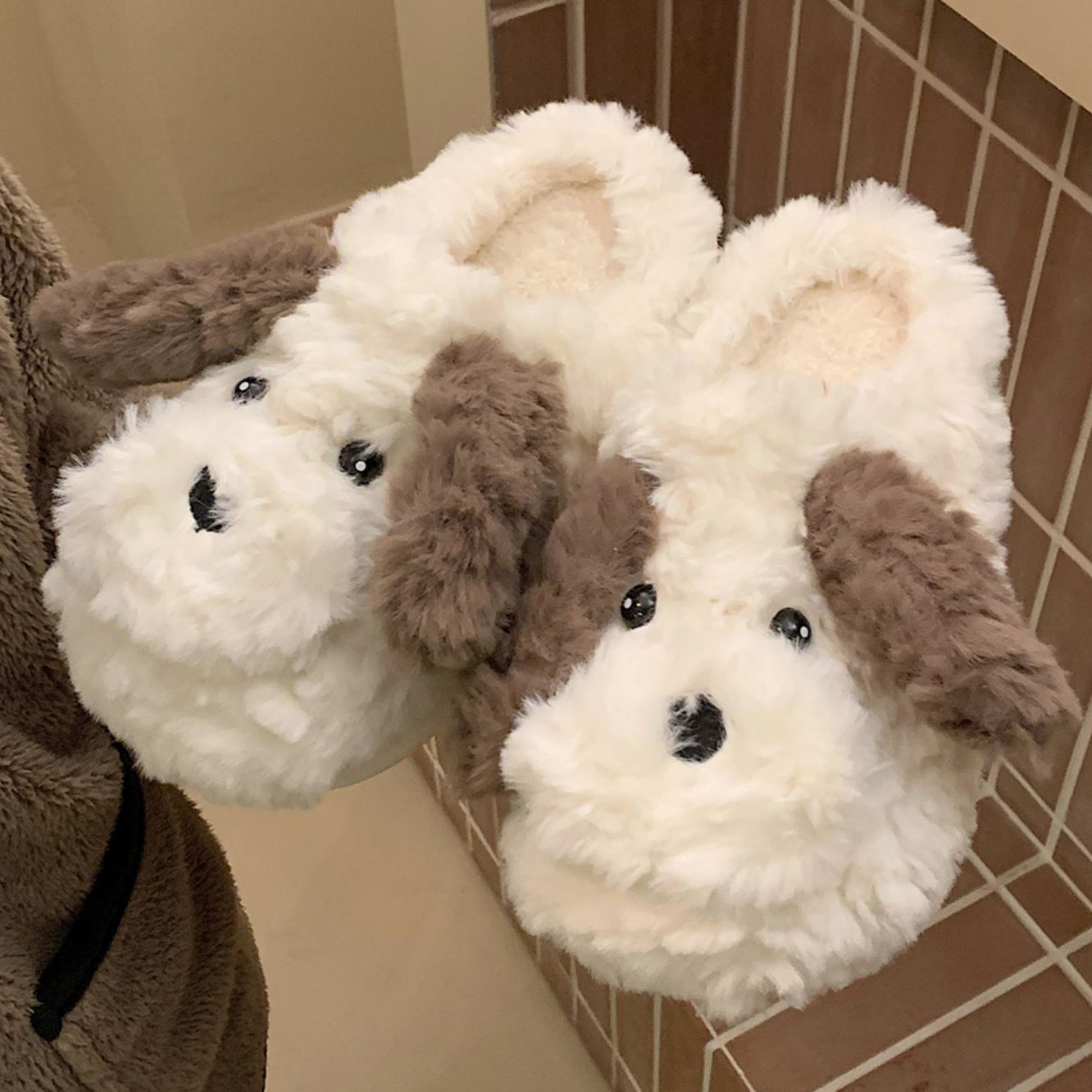 boa dog roomshoes