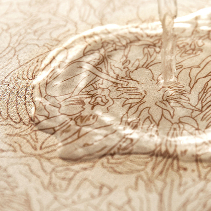 black toile de Jouy step mat