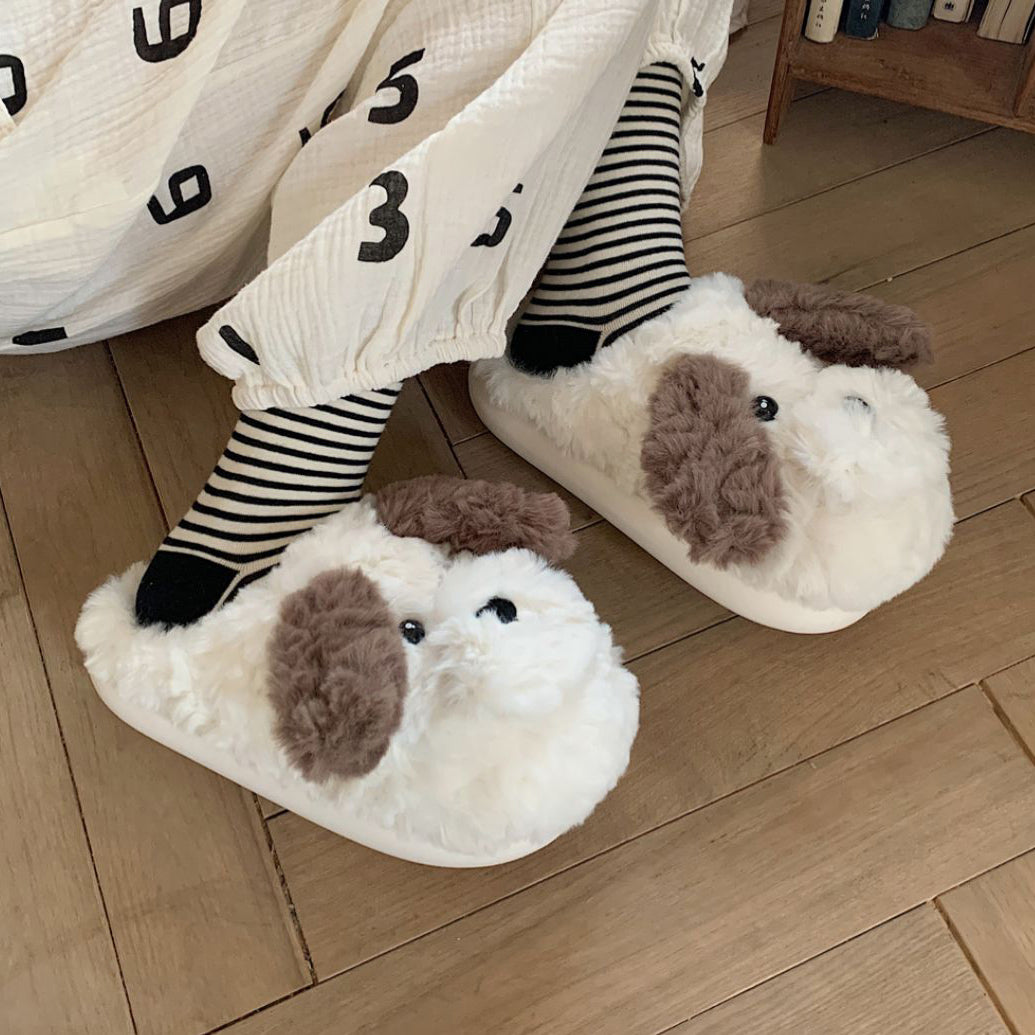 boa dog roomshoes
