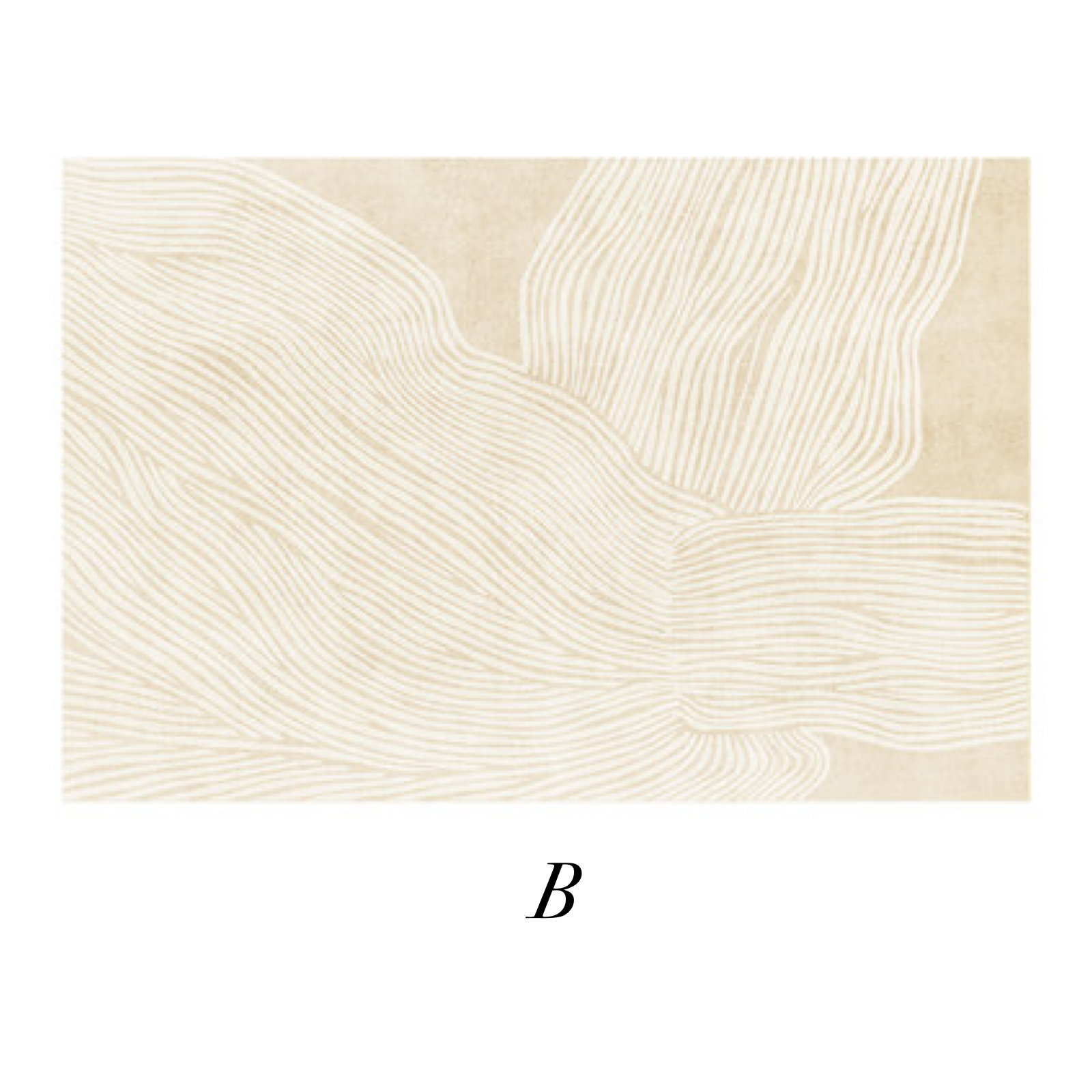 7design square carpet