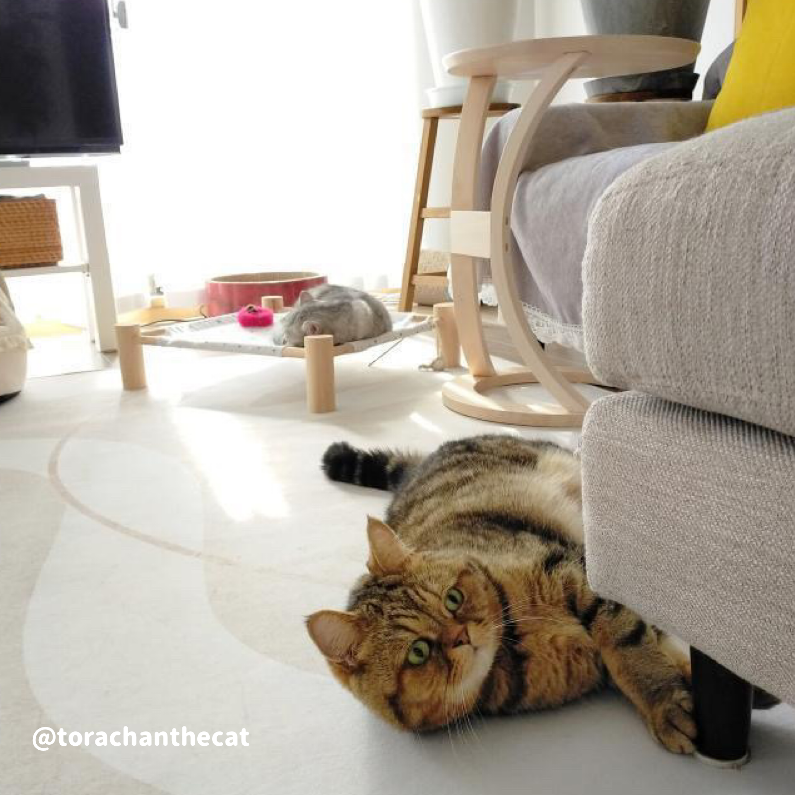 【ベストセラー】light color 8design square carpet