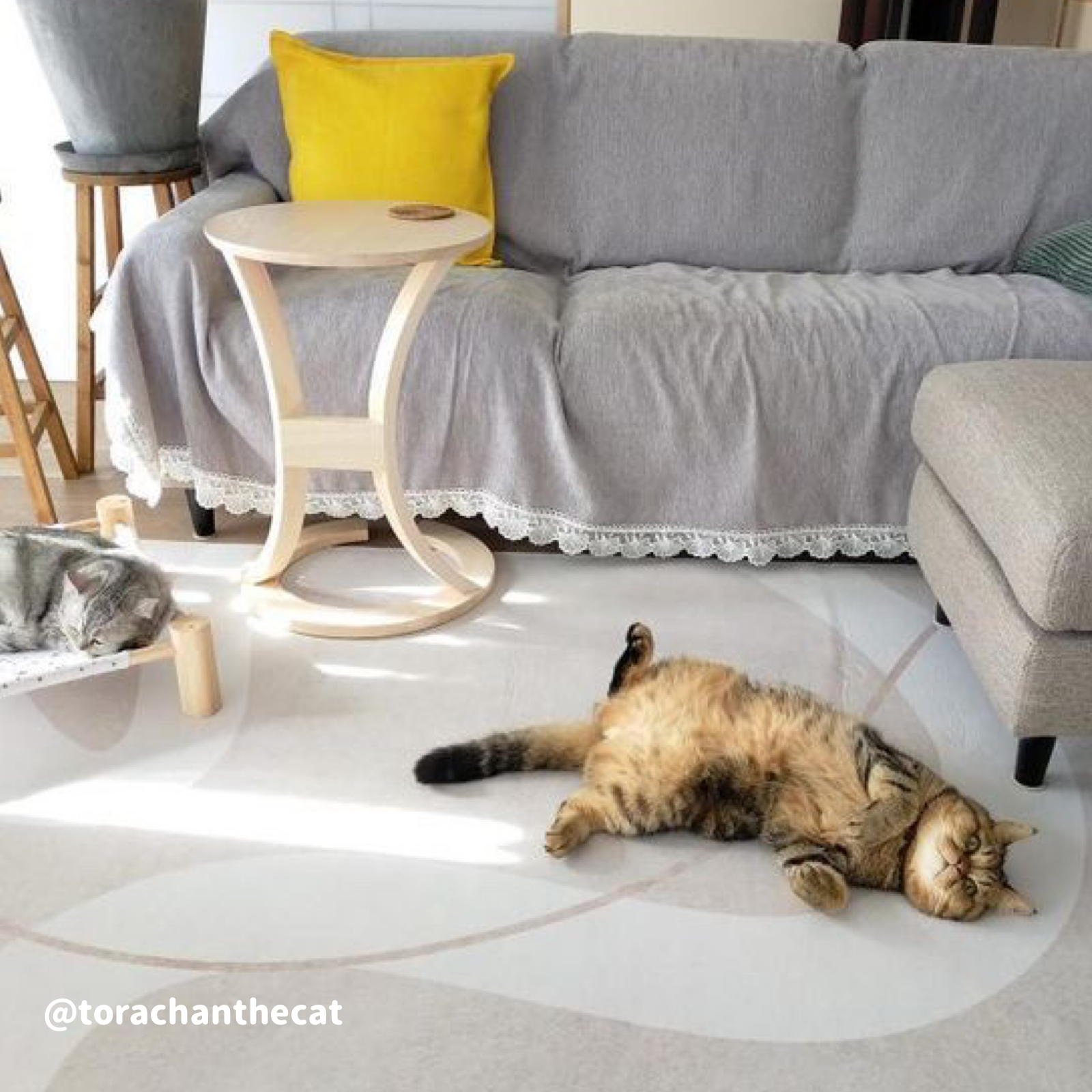 【ベストセラー】light color 8design square carpet
