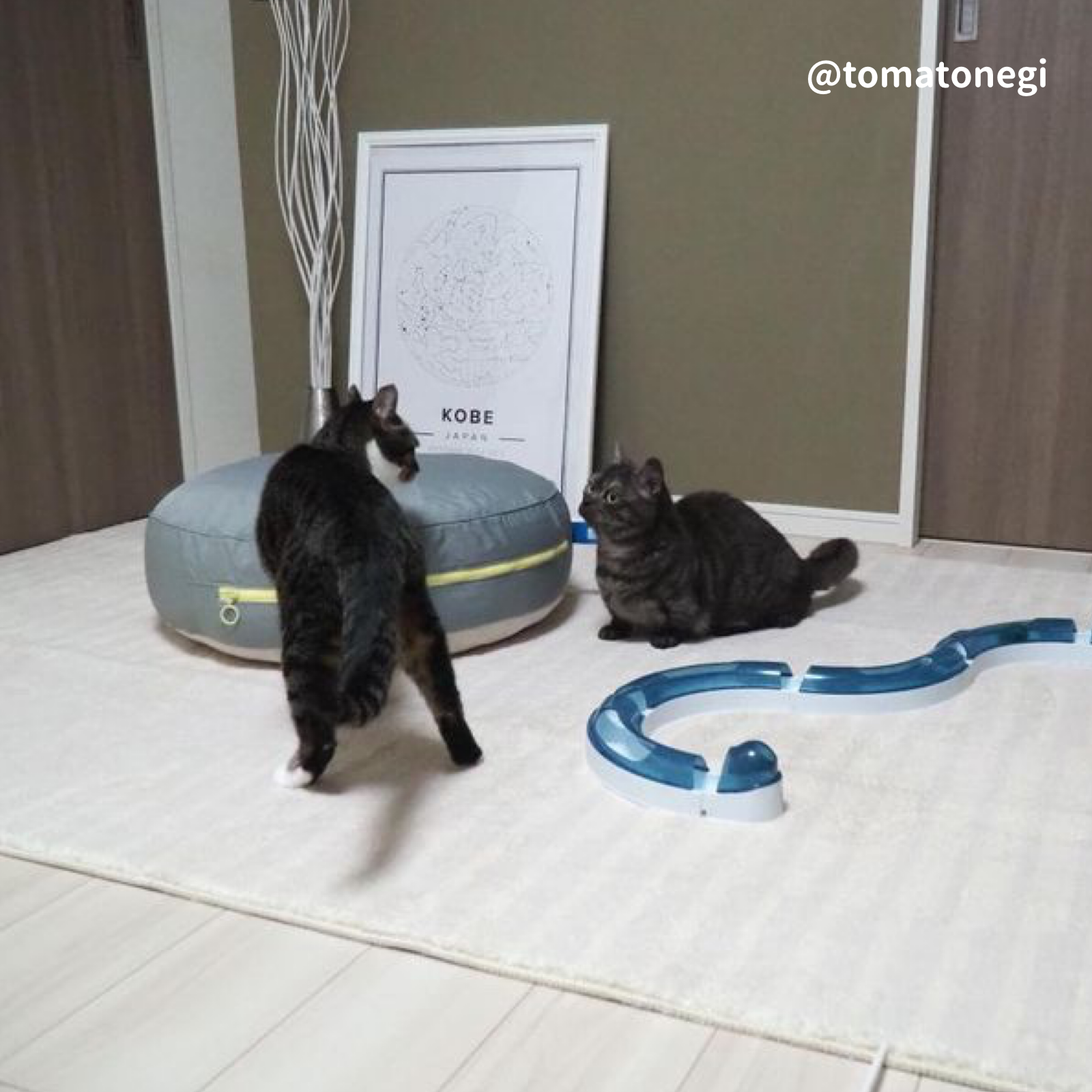round 4season bed