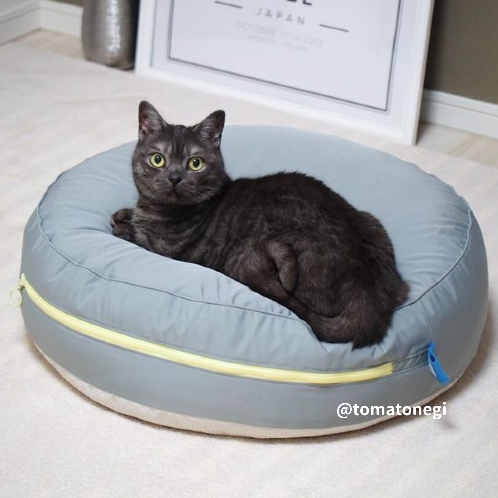 round 4season bed