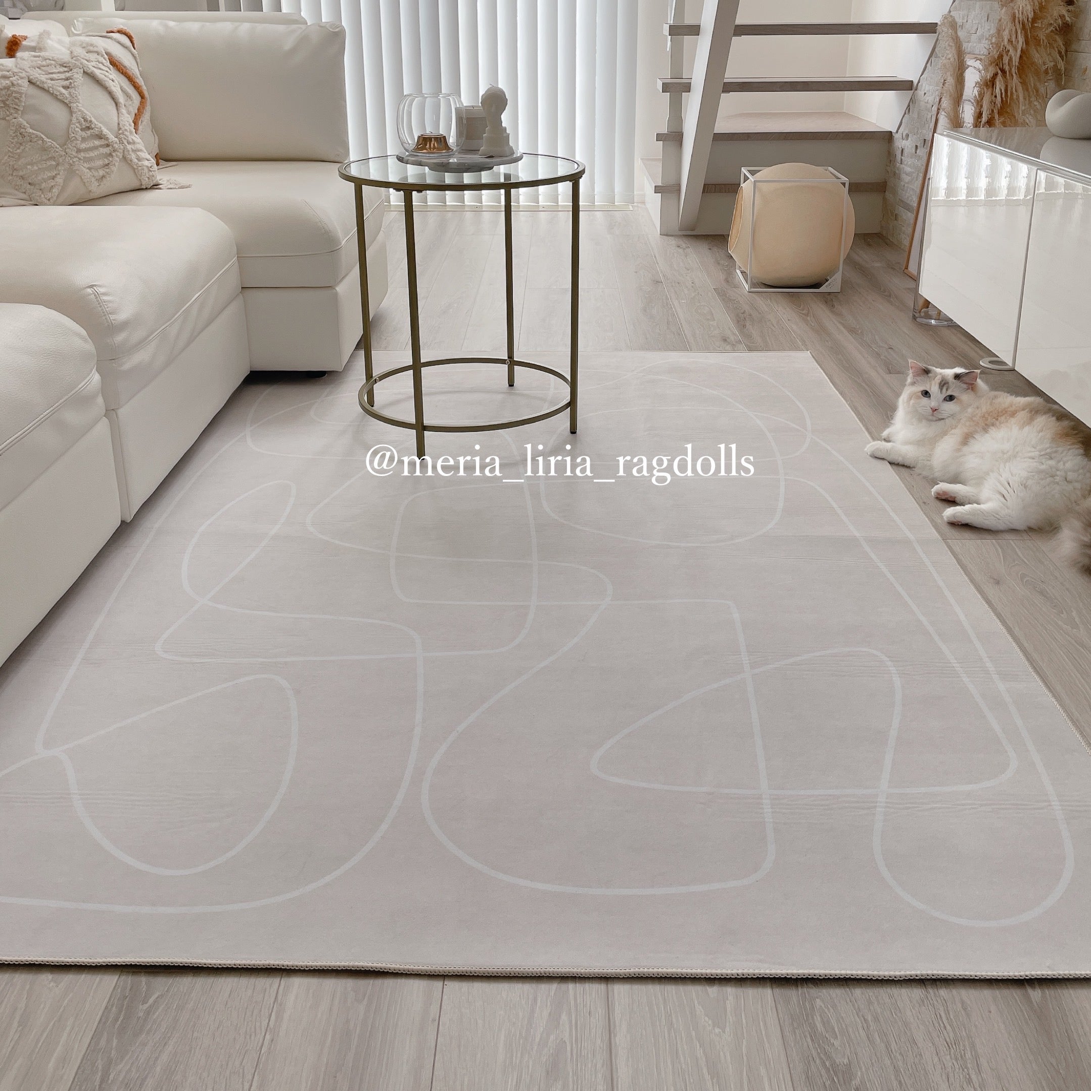 5color cream beige modern carpet