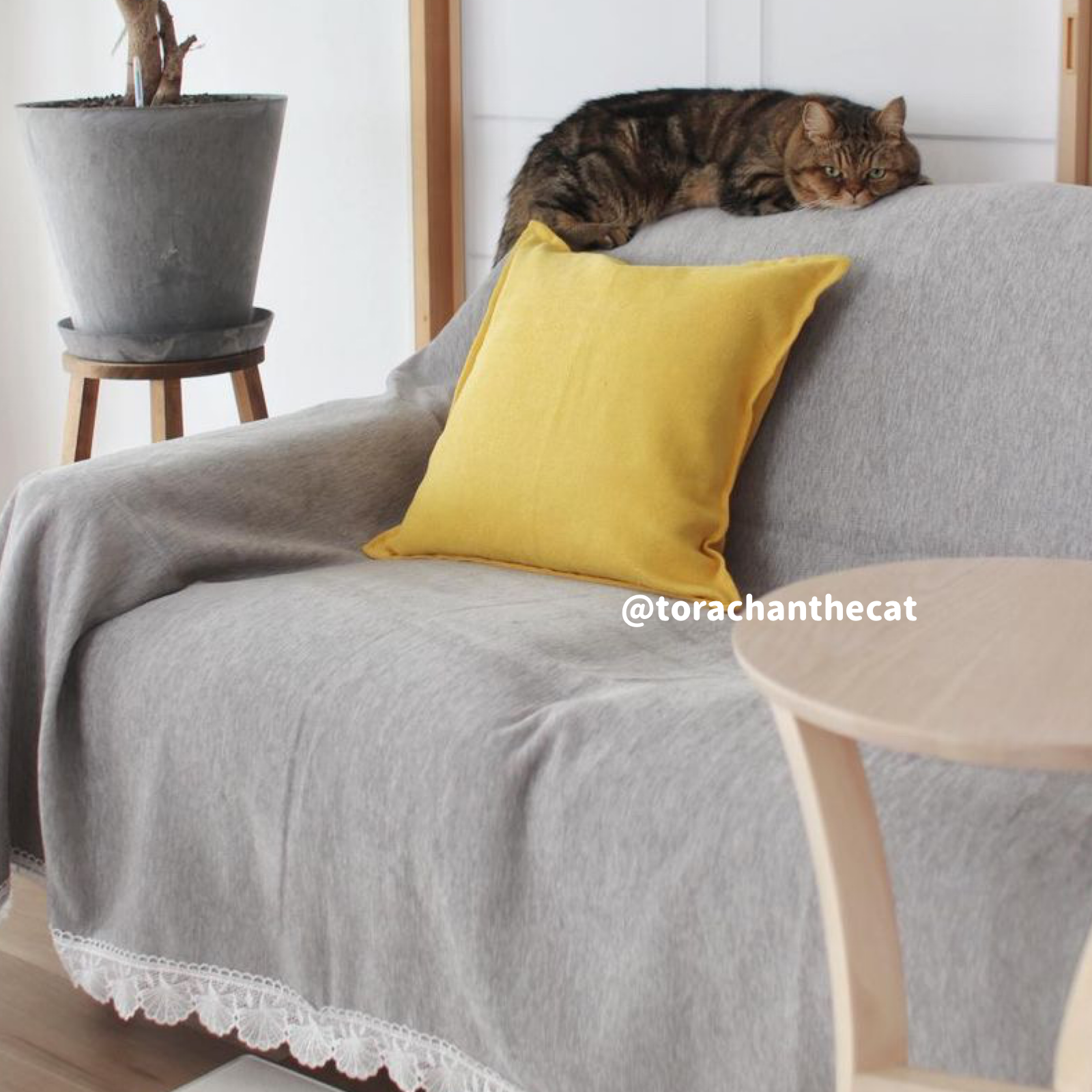 10color towel sofa cover