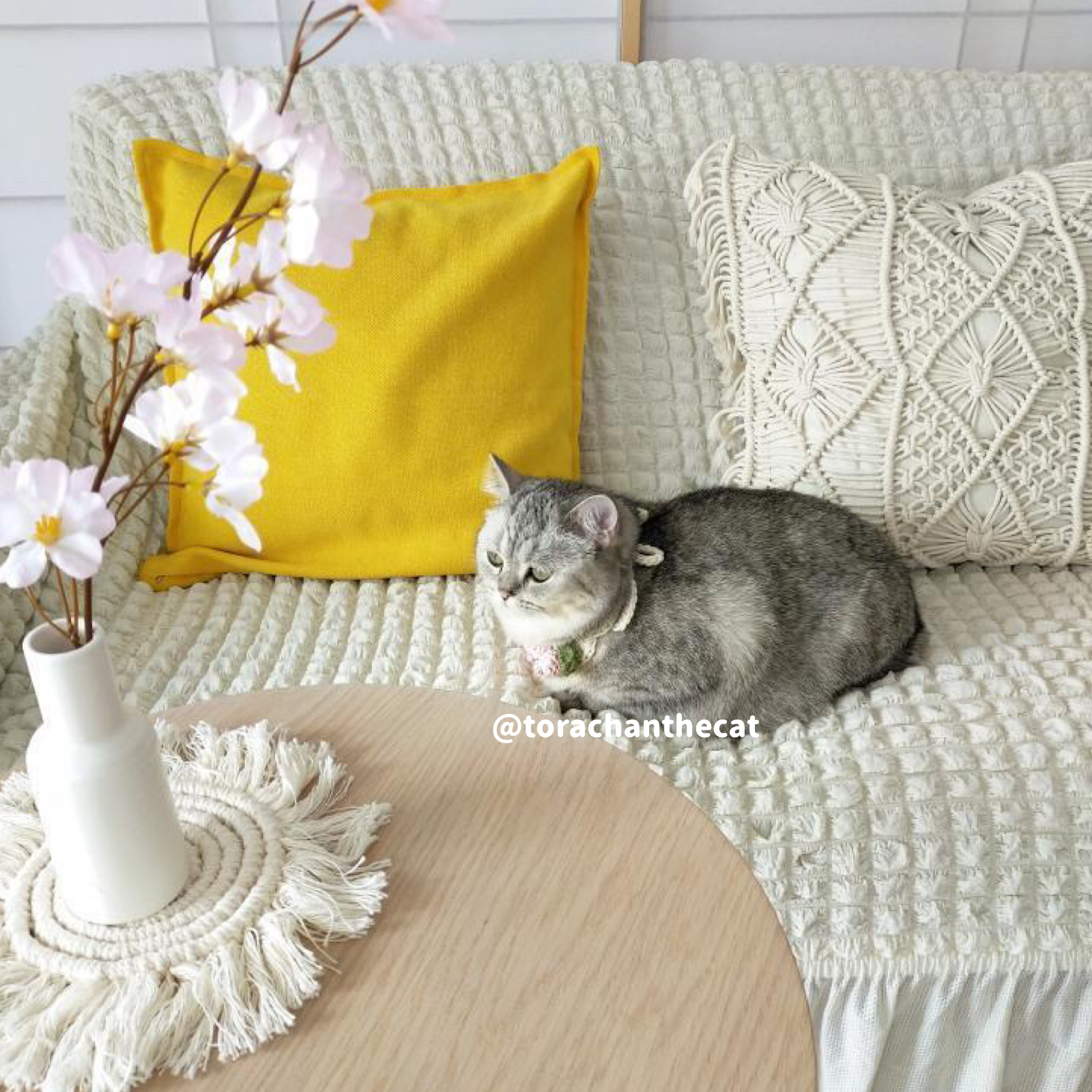 2color frill sofacover