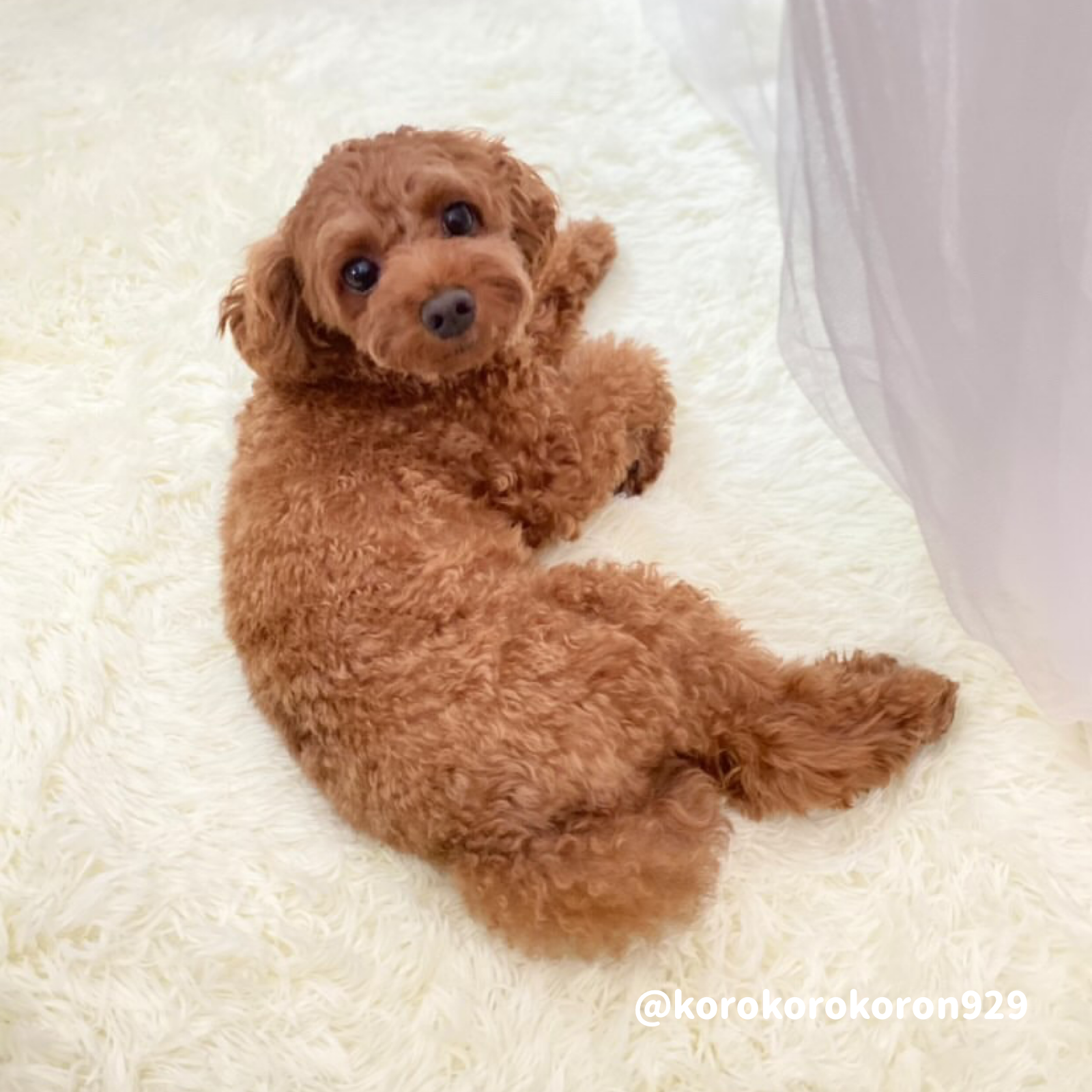 12color square carpet