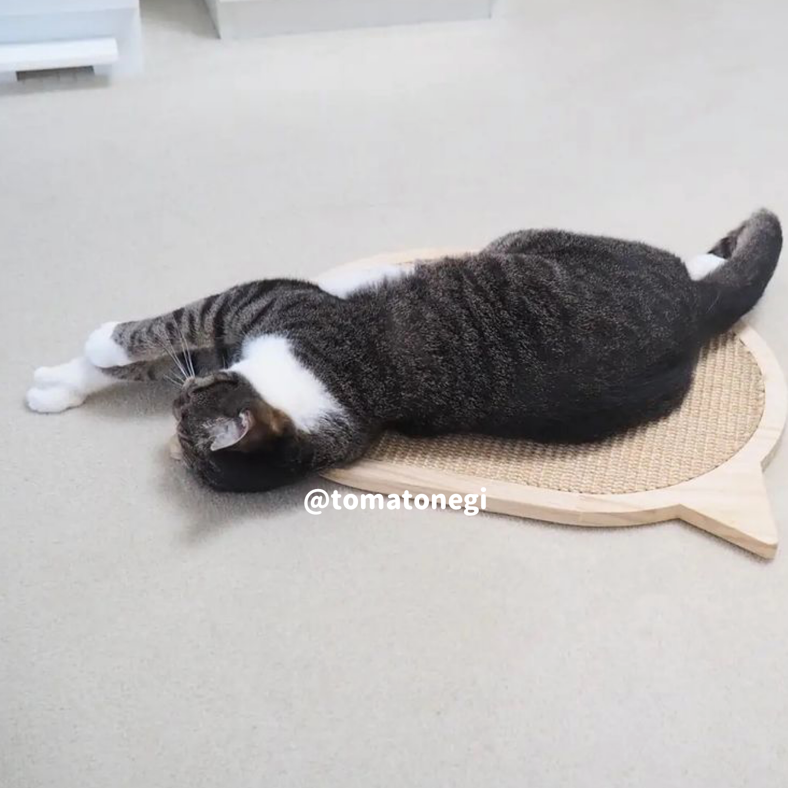 3size wood nail trimmers board