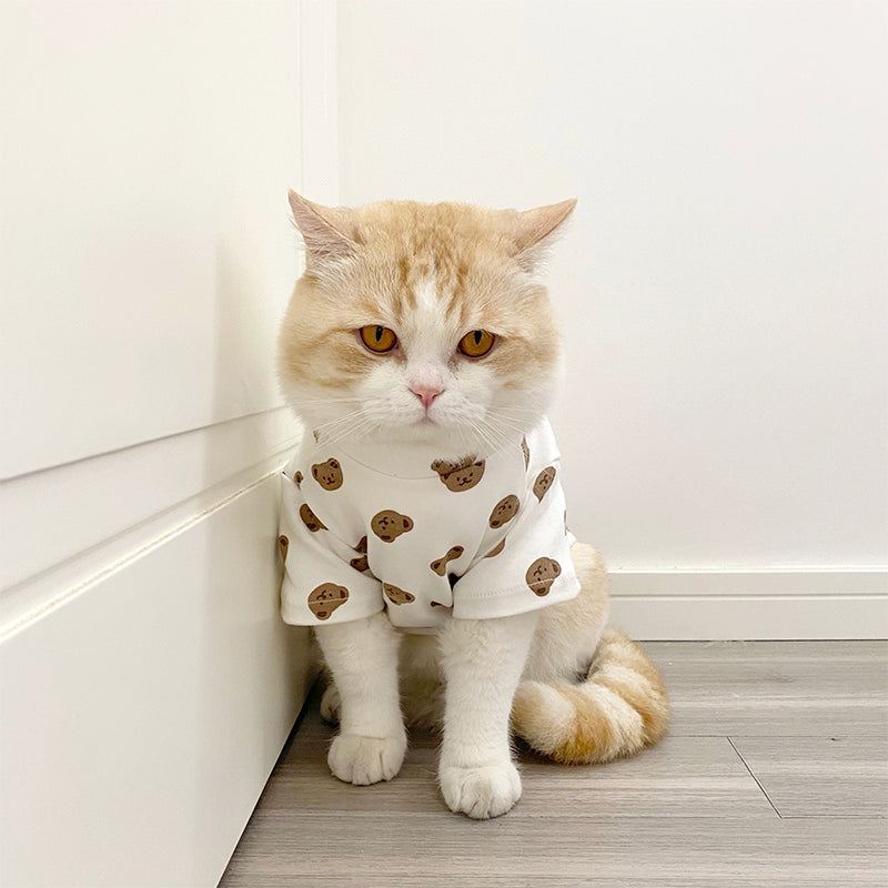 brown bear cloth
