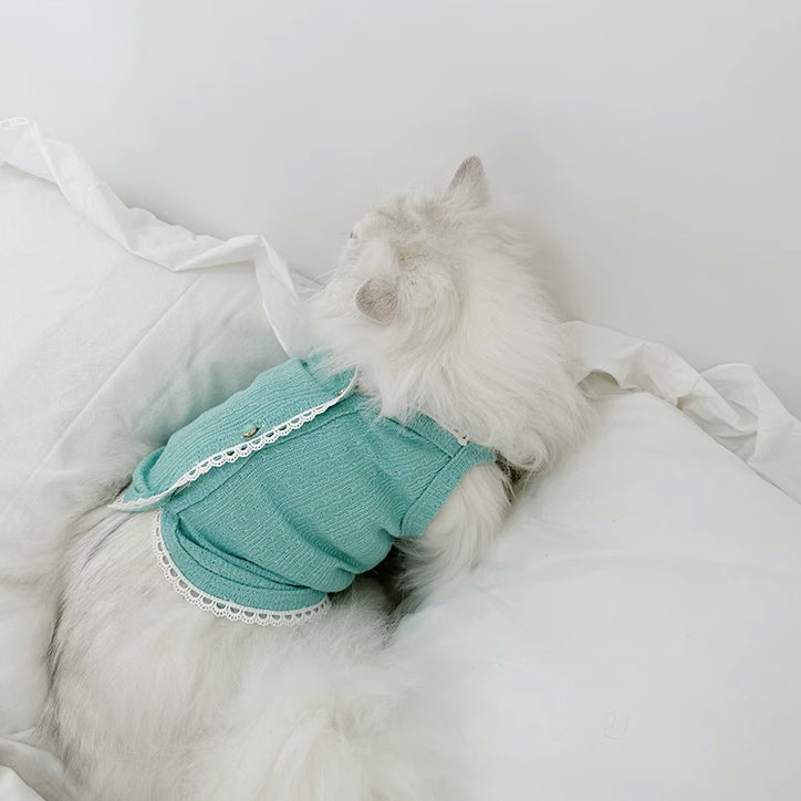 3color knit vest