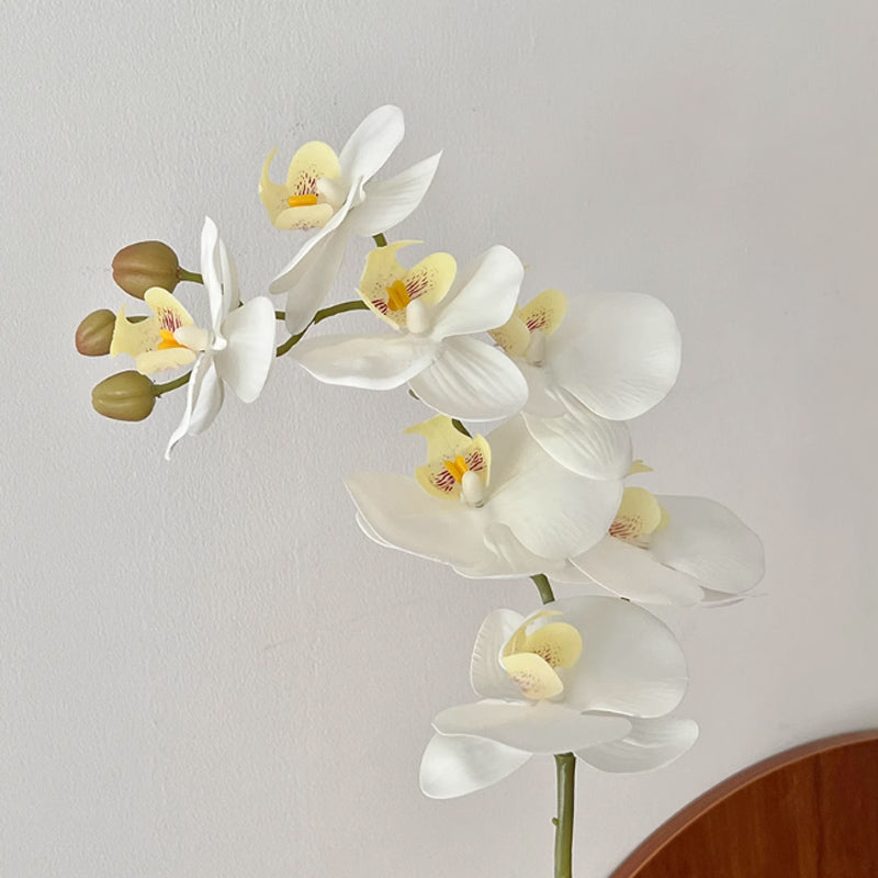 triangle vase & white flower
