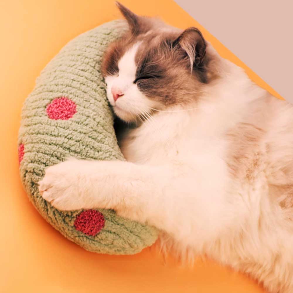 3color dot pet pillow