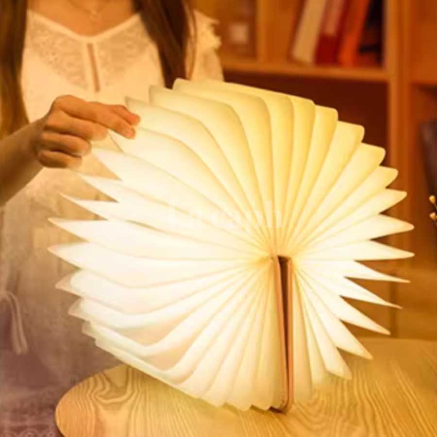 luminous book light