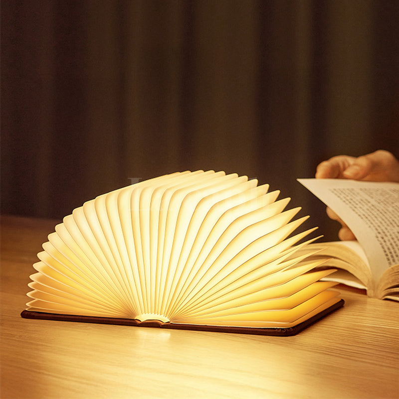 luminous book light