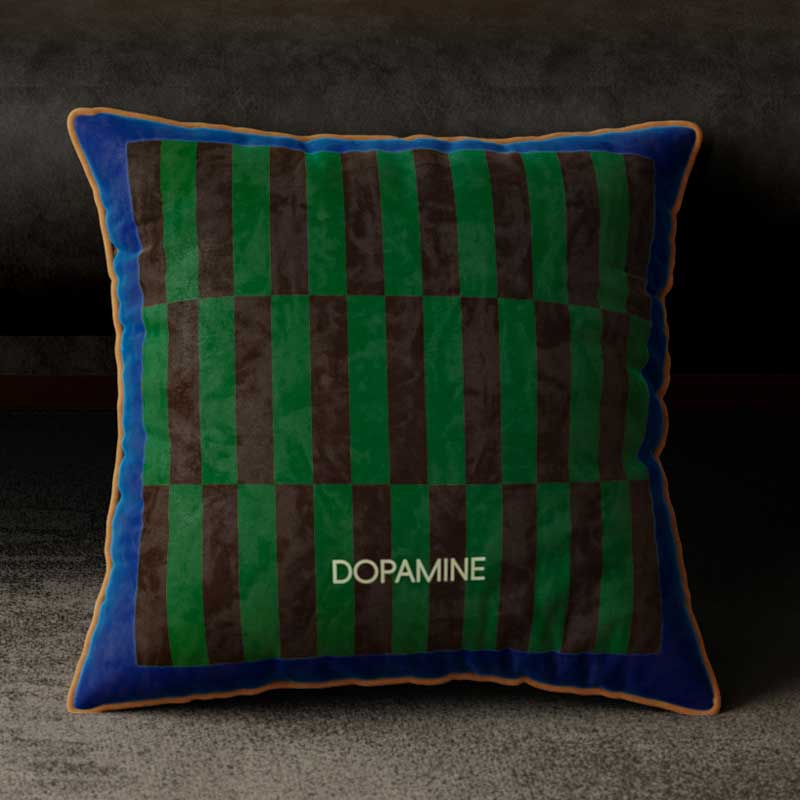 4color retro check cushion